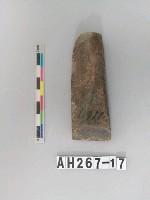 藏品(磨製石錛)的圖片